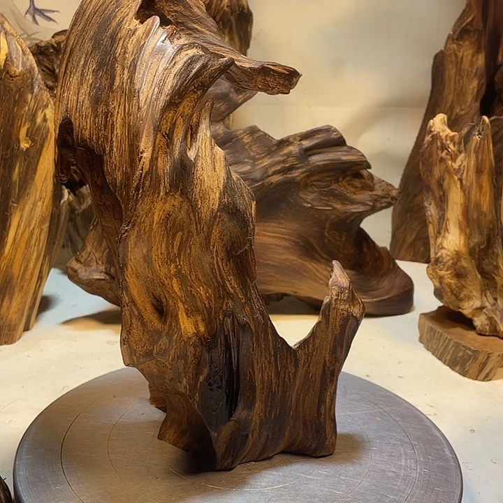 口***祥木直播间一物一拍