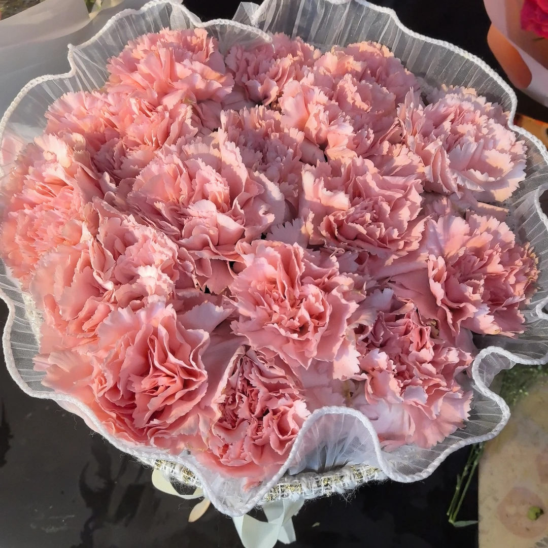 母亲节13朵粉康实物图送妈妈送长辈