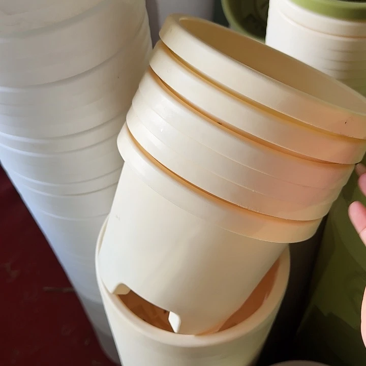 球根21口径6个无托米黄