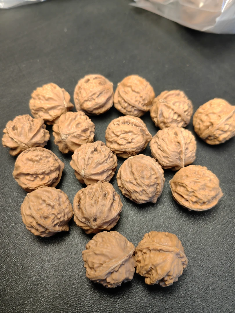 22mm秋子手持10元每果手持