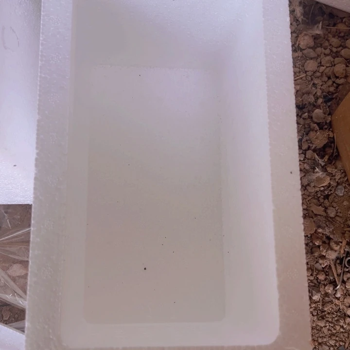 ?****保温箱精品多肉植物