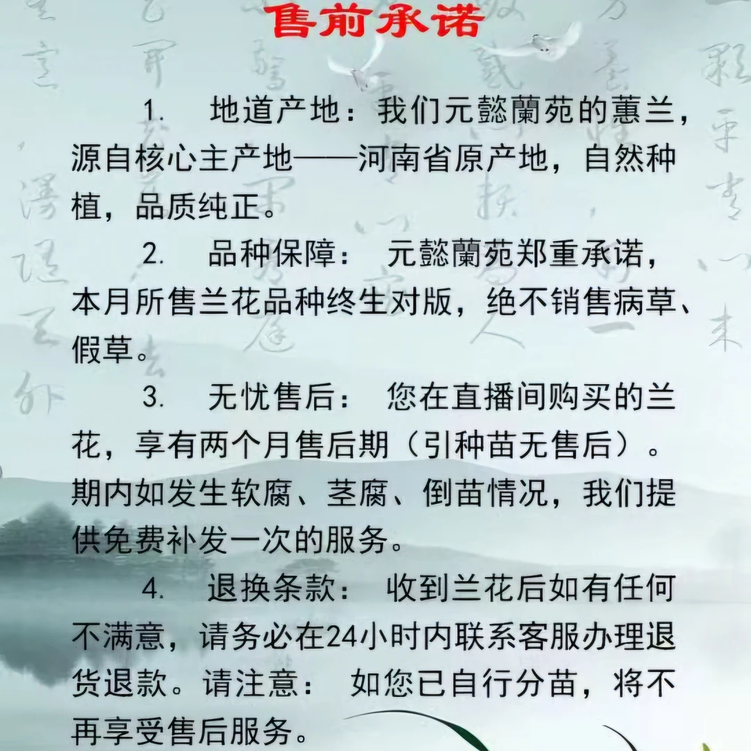 3号链接元懿兰苑直播间一物一拍兰花