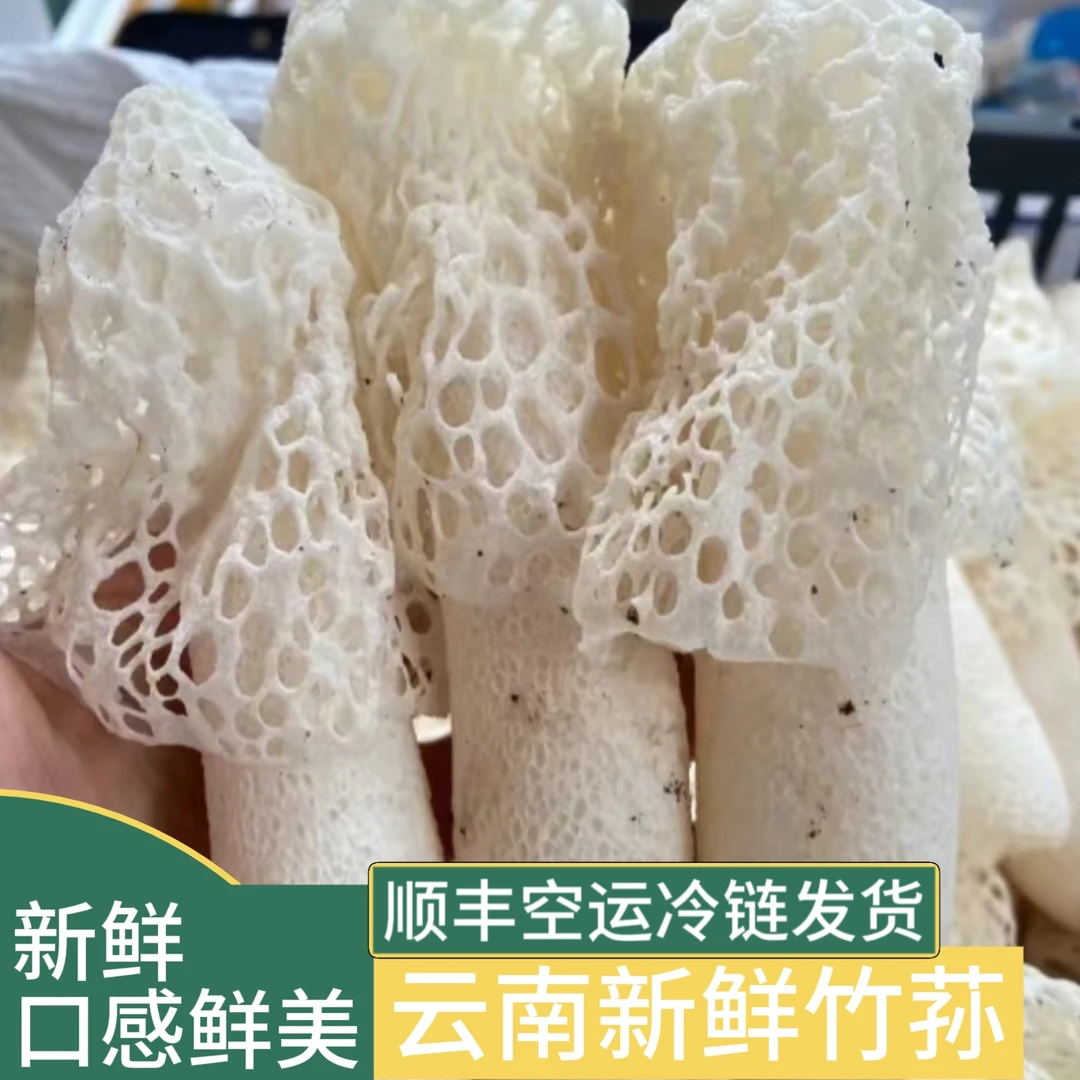 云南新鲜竹荪 顺丰空运冷链配送到家