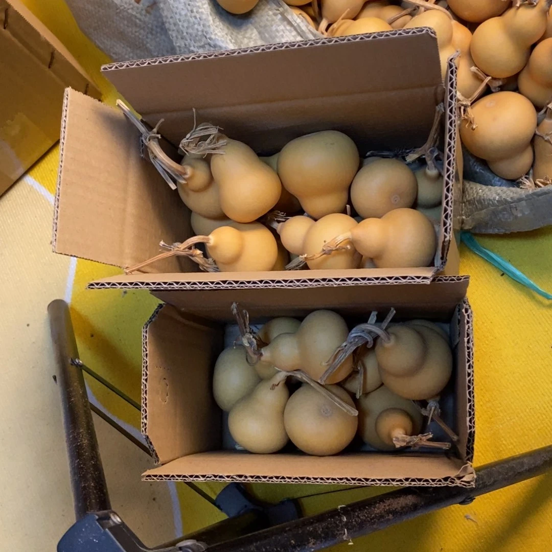 寒***黛精品胖墩包邮到家