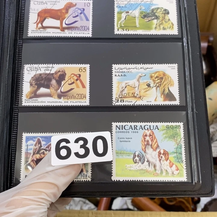 瓷片 哦哦哦哦哦哦哦哦哦