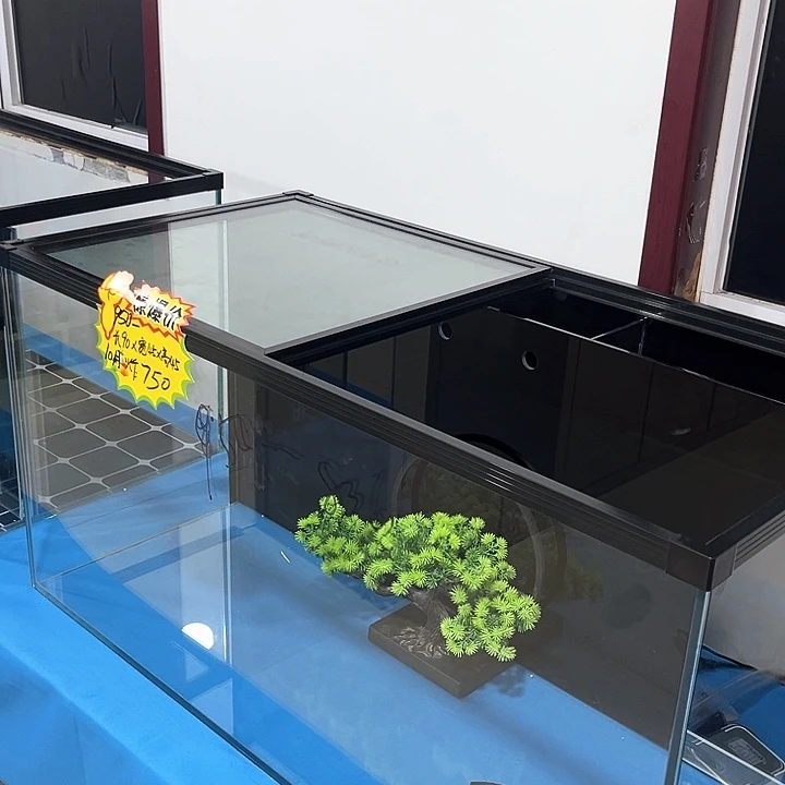 玻璃1***.90.45.45背新款