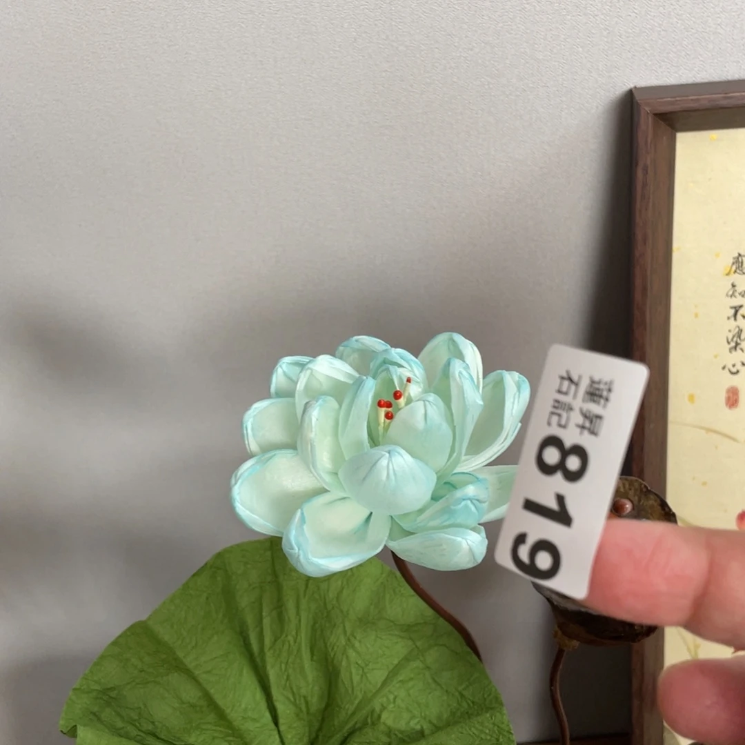 核桃木/黑胡桃（胡桃木）819通草花蓝色