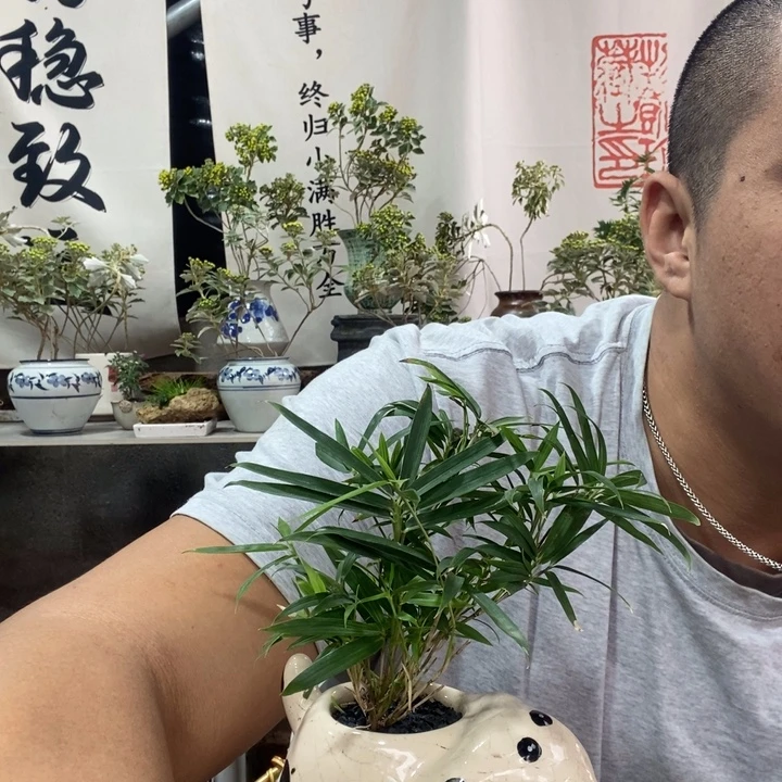 无花朵退款拉黑拉黑8