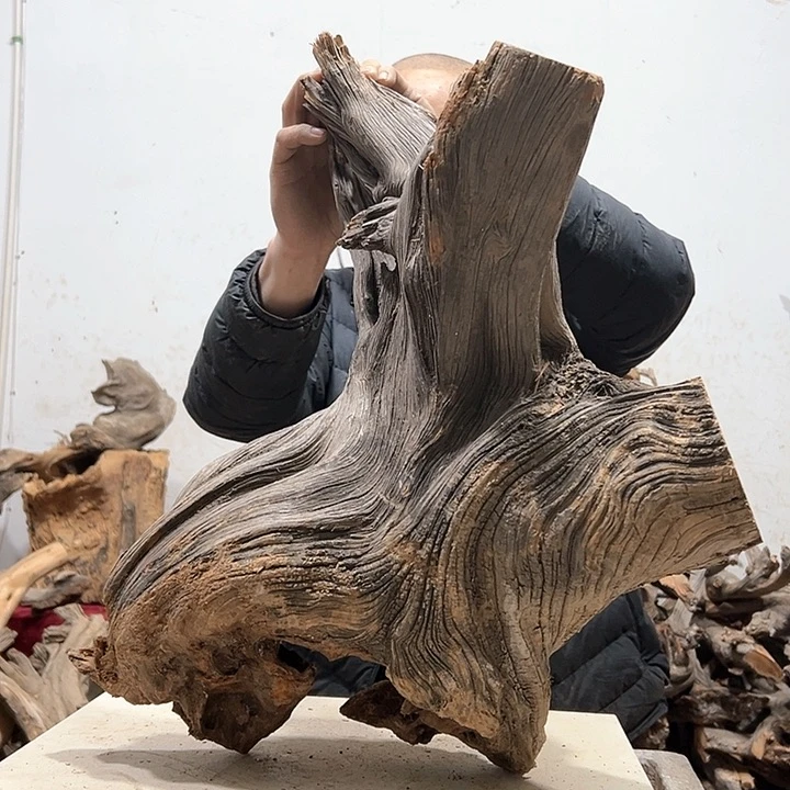 柏木好***好我们都是好孩子呀我也