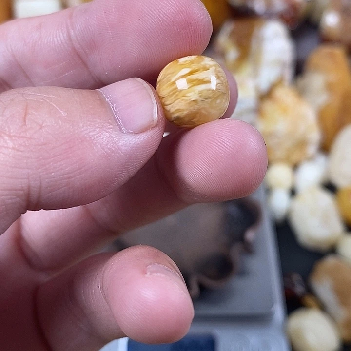 裸石琥珀未镶嵌我