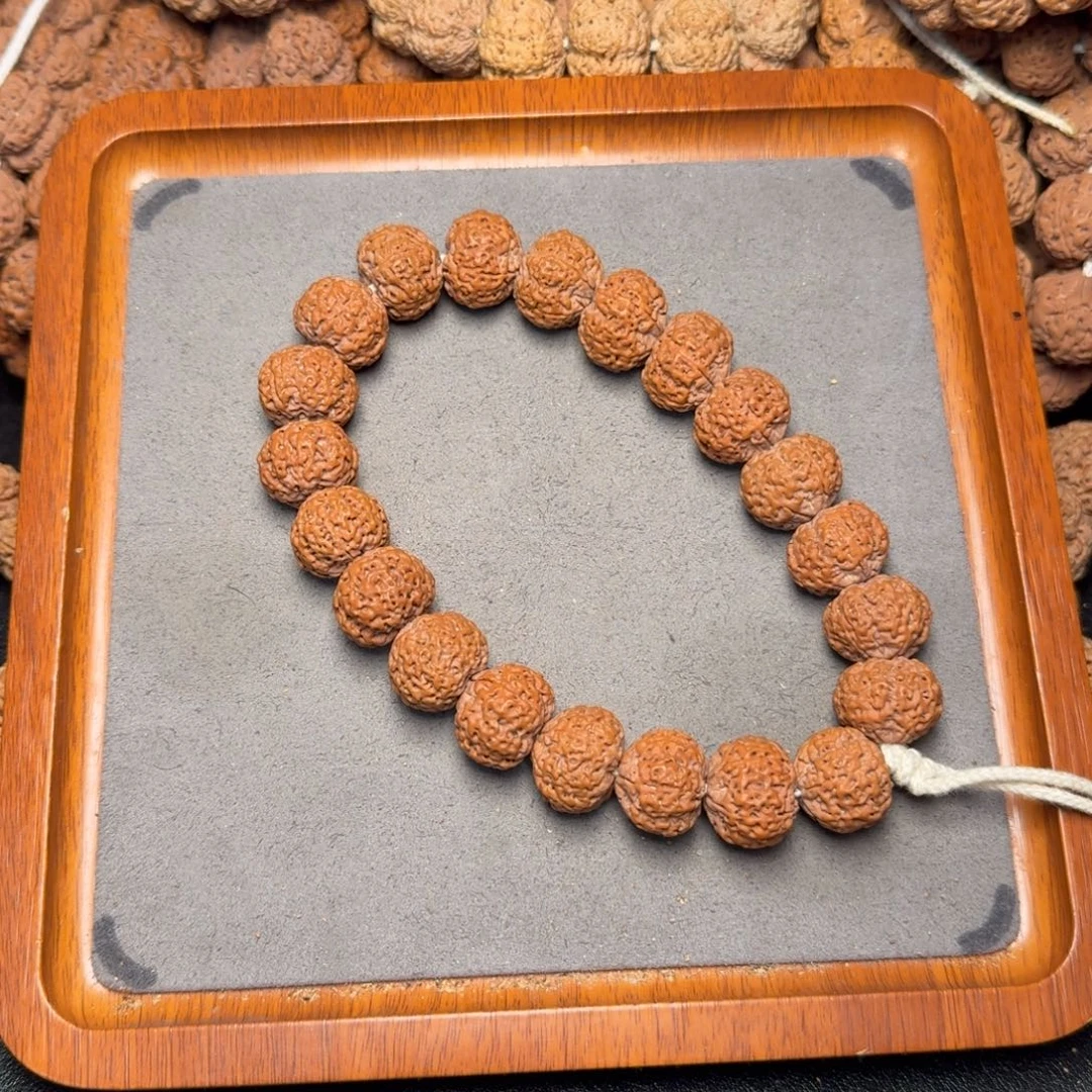 15号尼泊尔大金刚20五星蜂王菠萝蜜