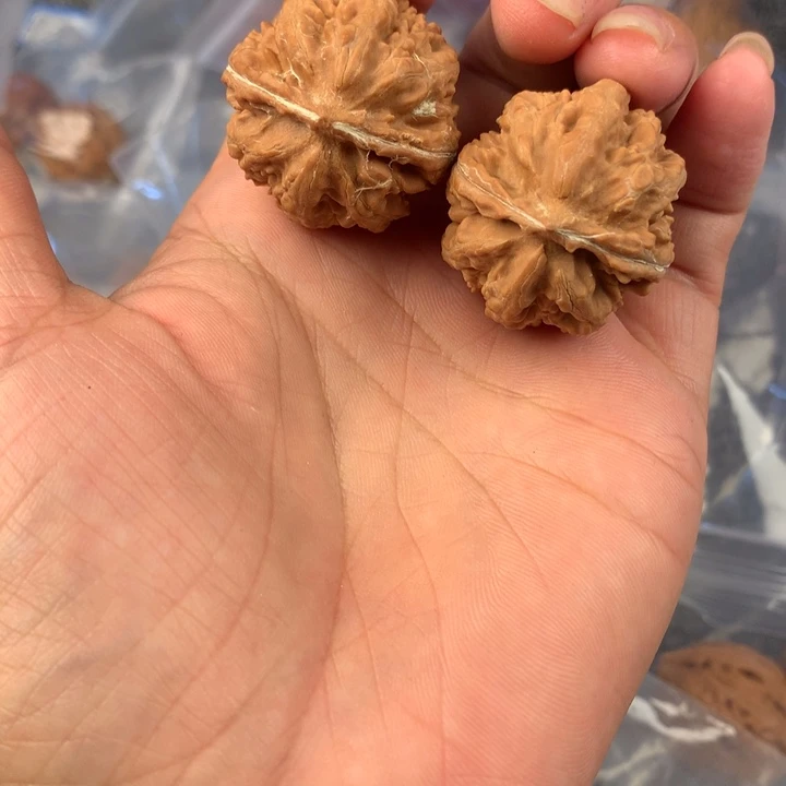 粗筋。