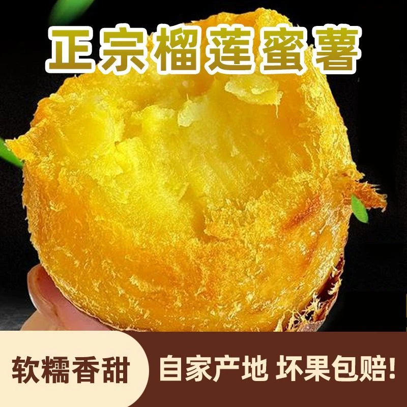 云南正宗榴莲蜜薯鸣门金时黄心地瓜新鲜糖心番薯高原超甜地瓜