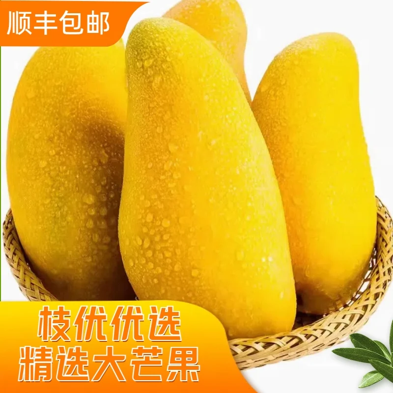 【顺丰包邮】海南新鲜水仙芒水果特大热带芒果甜心青