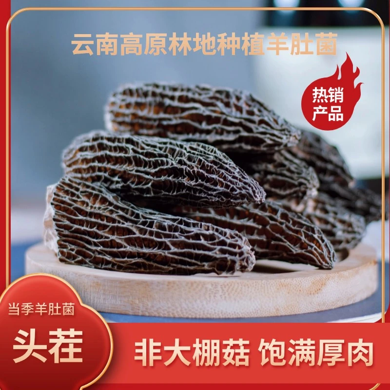 云南高原林地种植(全剪柄)头茬羊肚菌干货50克-250克营养