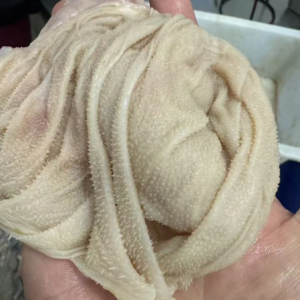 内蒙古新鲜羊肚百叶 羊百叶羊散丹 新鲜羊百叶羊散丹下单再送一斤