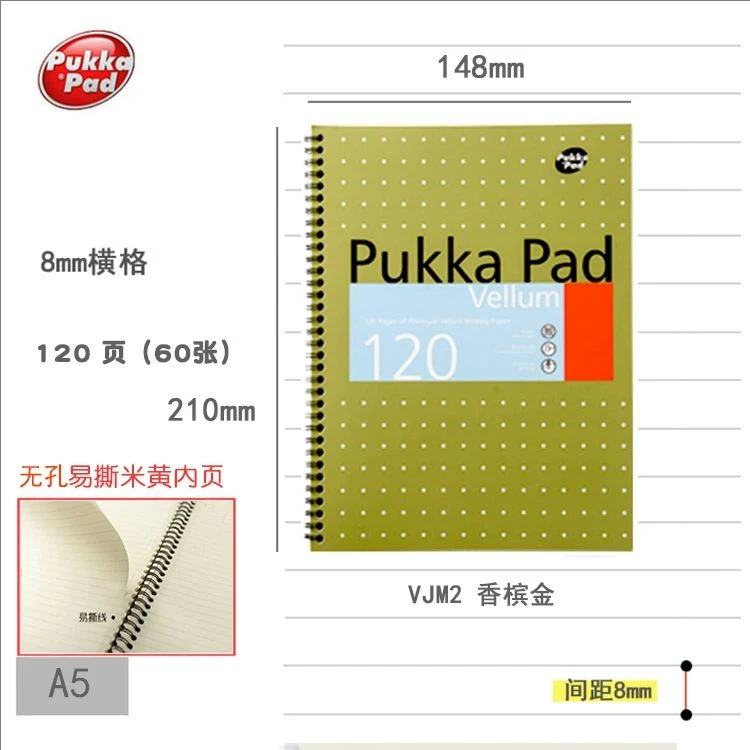 pukka padA5笔记本,随机颜色发货