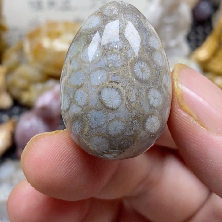 颈饰未镶嵌硅化珊瑚（珊瑚玉）