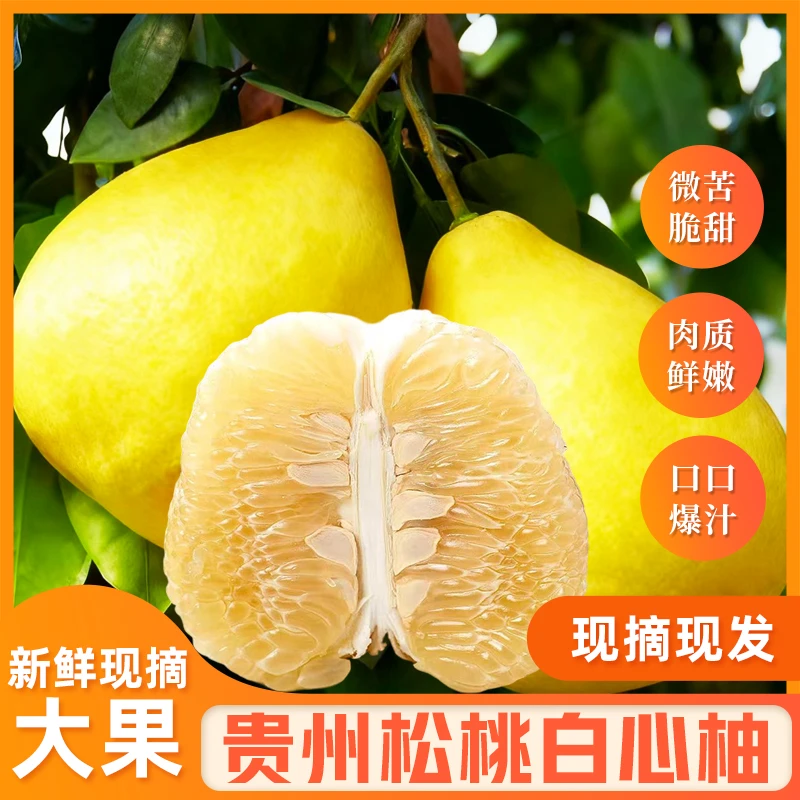 贵州松桃泰国香柚新鲜现摘当季酸甜可口水果