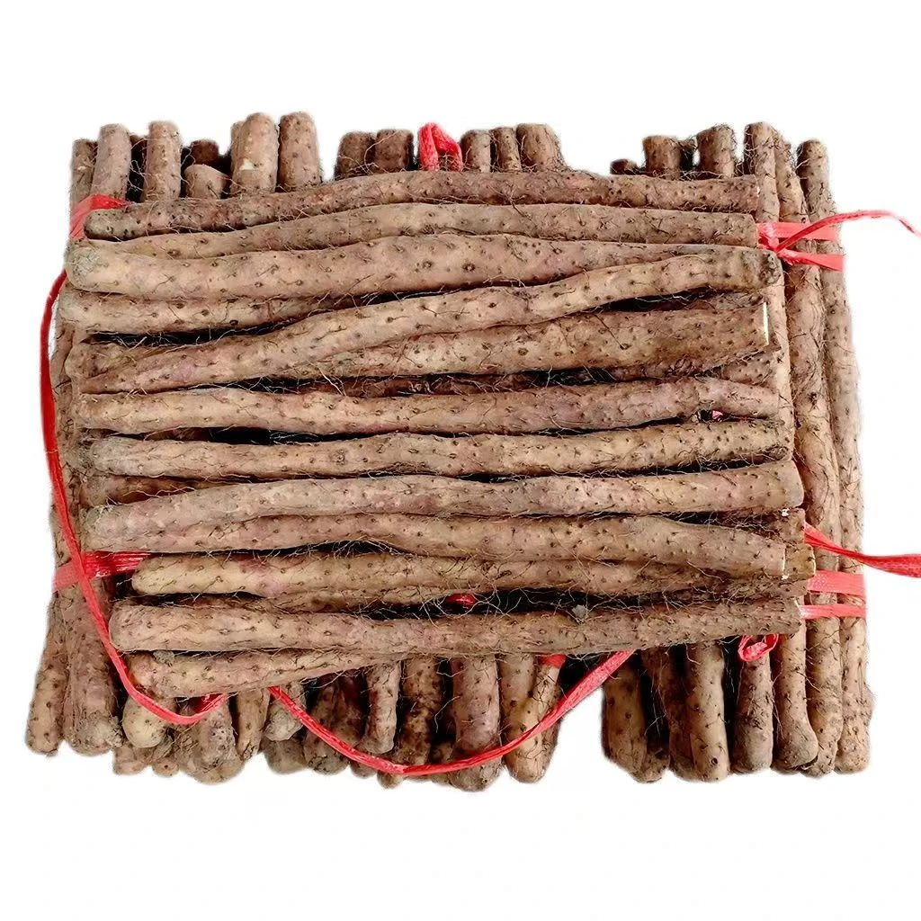 沙漠山药牧区采挖内蒙发货