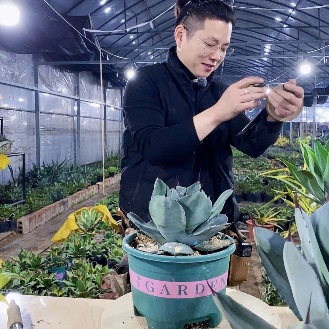 一福克斯一颗1111111