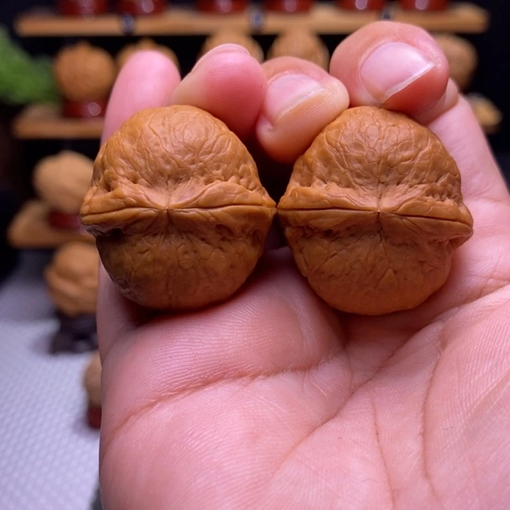 木质类云铁龙珠55号