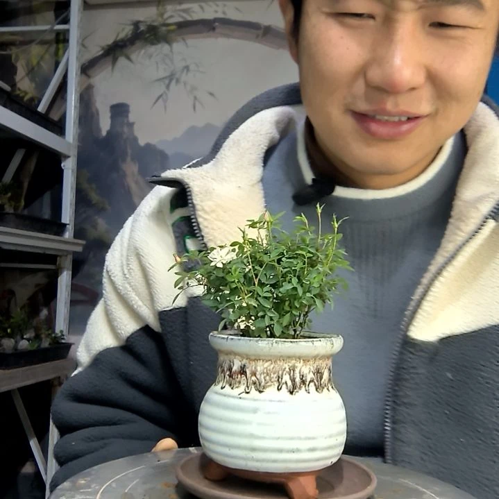 灵***犀中青园艺一物一拍花137