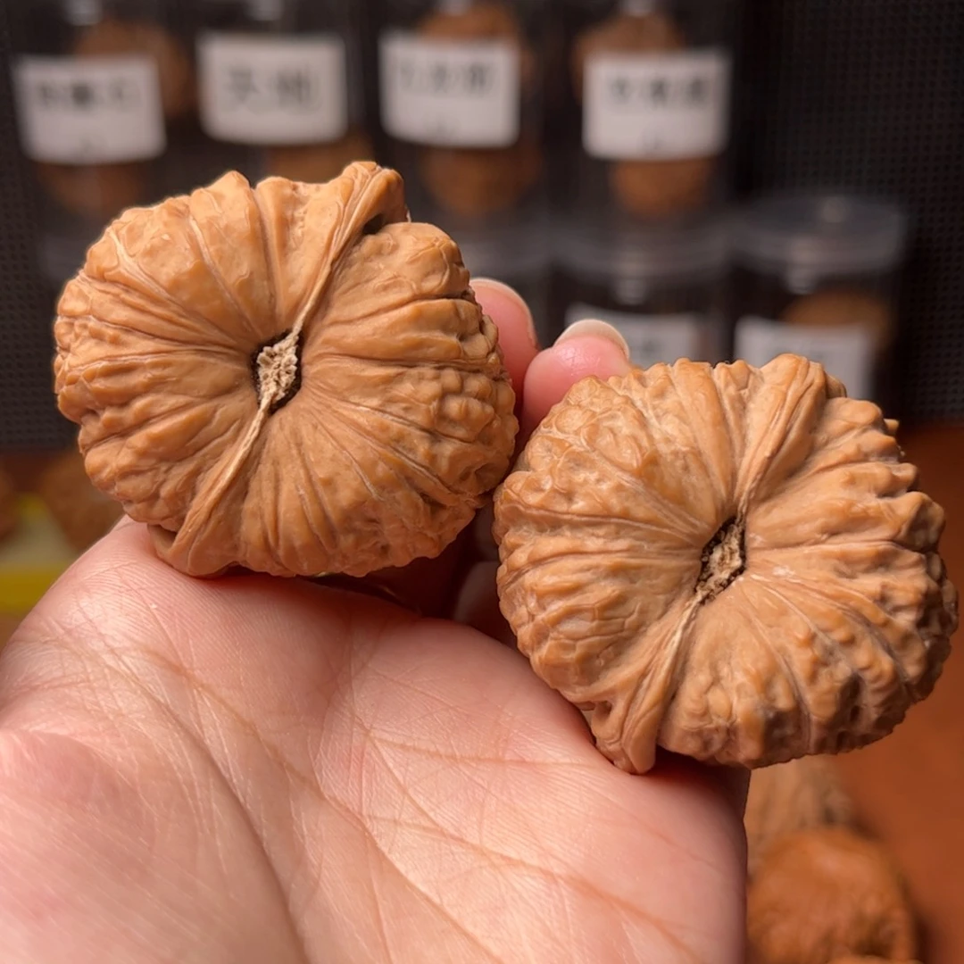 嘉***+全品42南瓜42南哥42南瓜