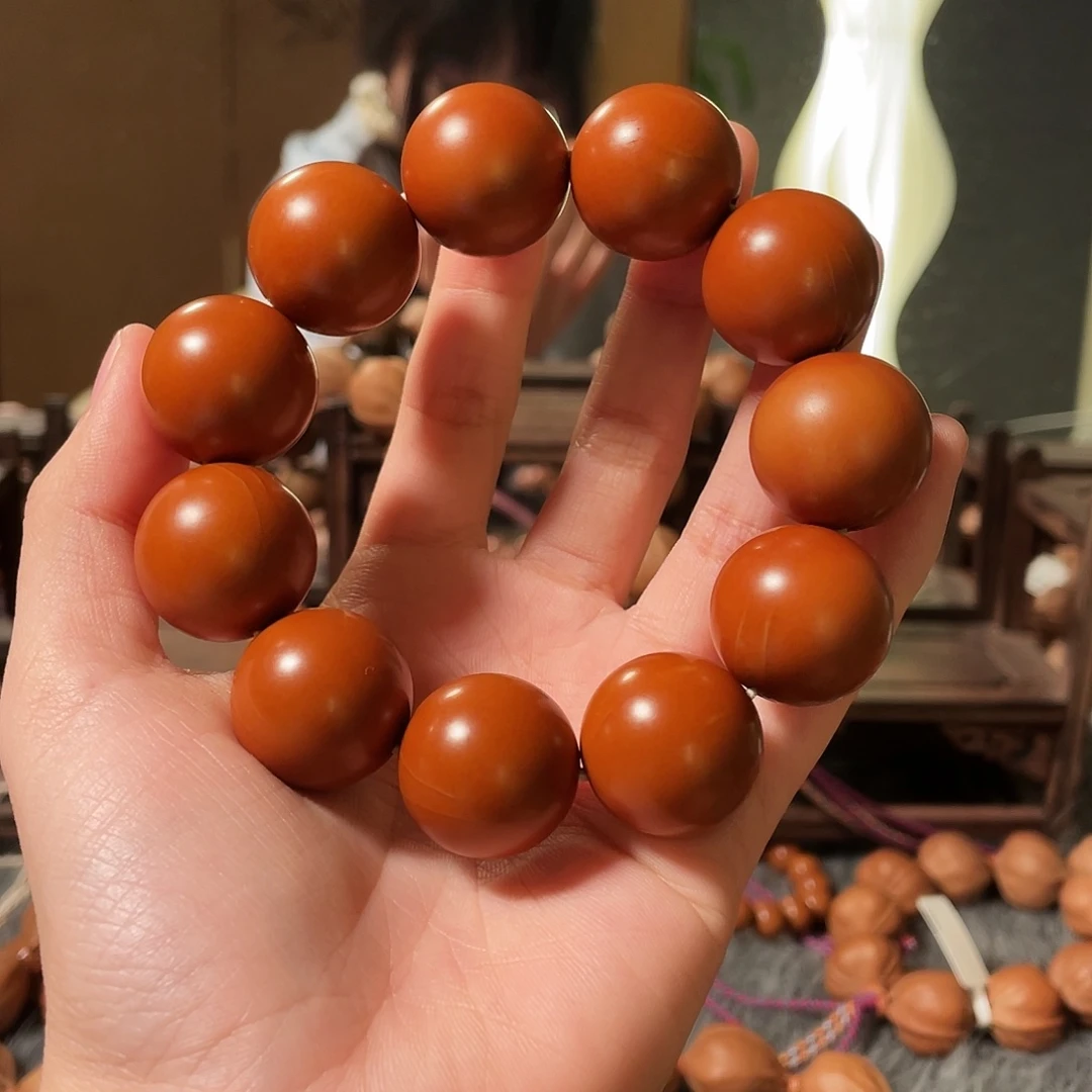 2.1的老树王一物一拍