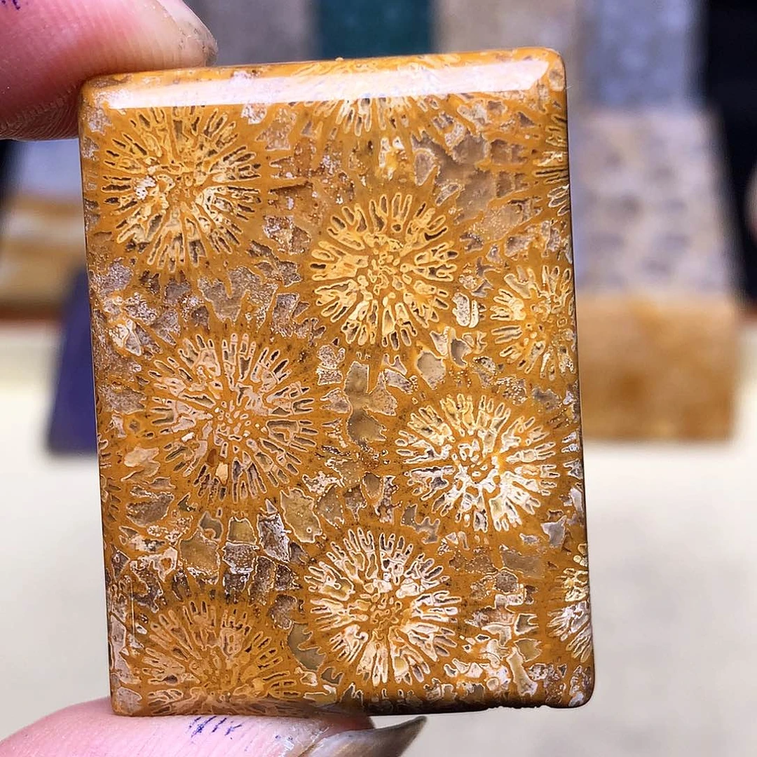 硅化玉珠宝奇石合金b****.