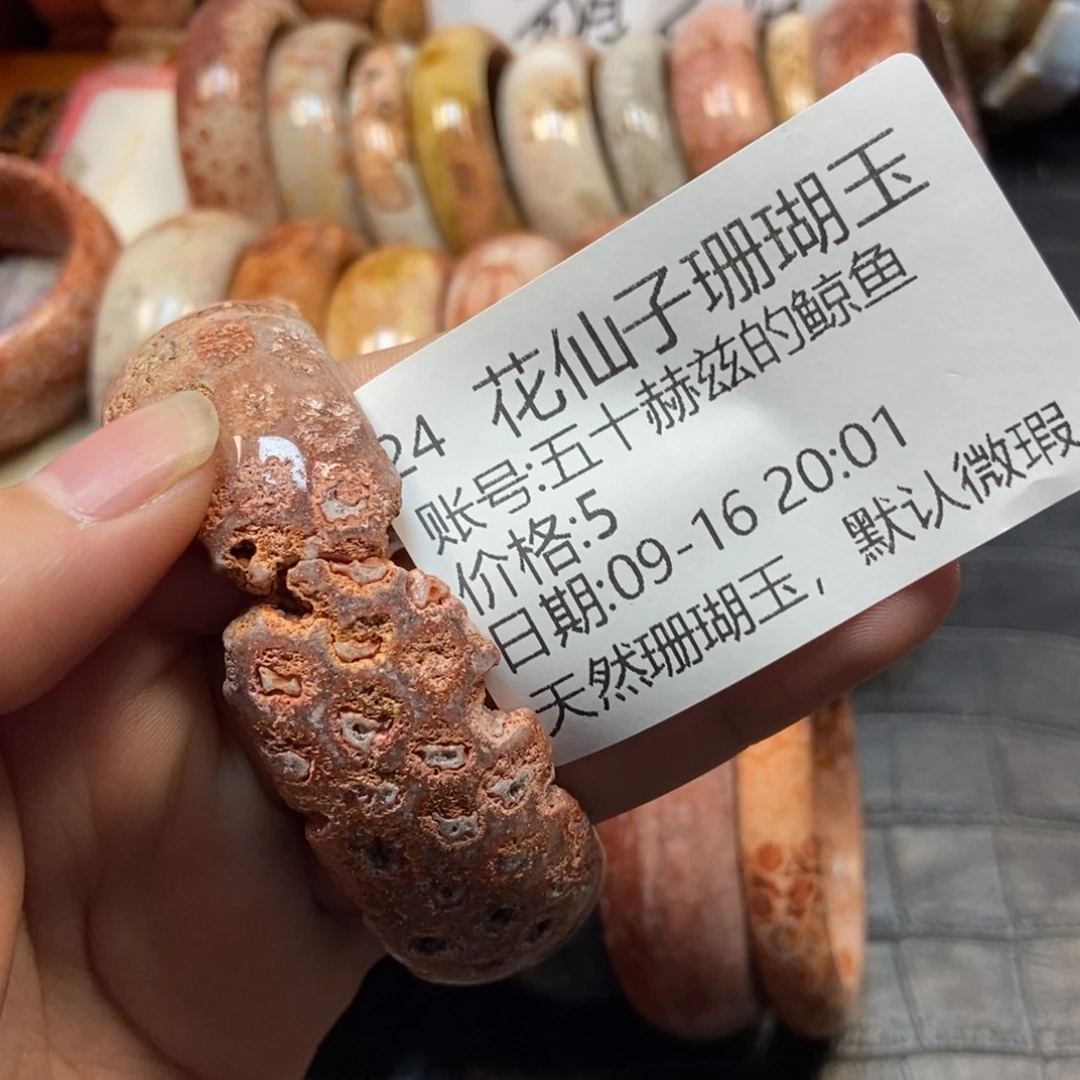 五***鱼未镶嵌硅化珊瑚（珊瑚玉）珠宝半成品24