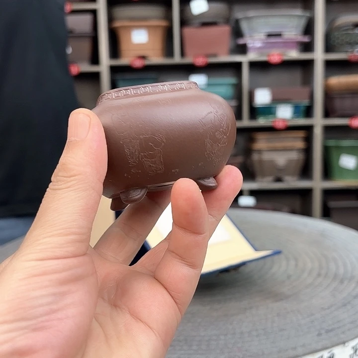 紫砂花盆荣*紫砂的味道很好