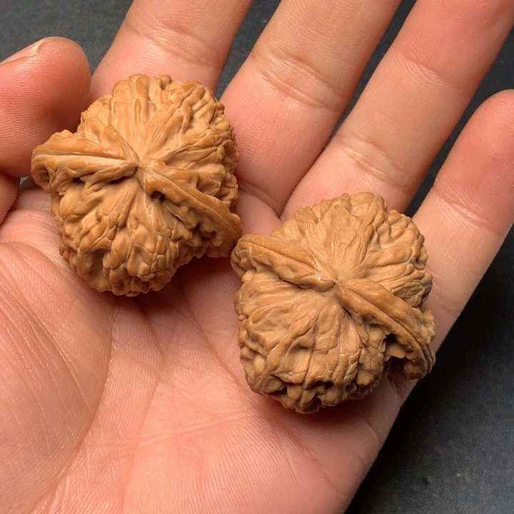 把件文玩核桃41白狮子691