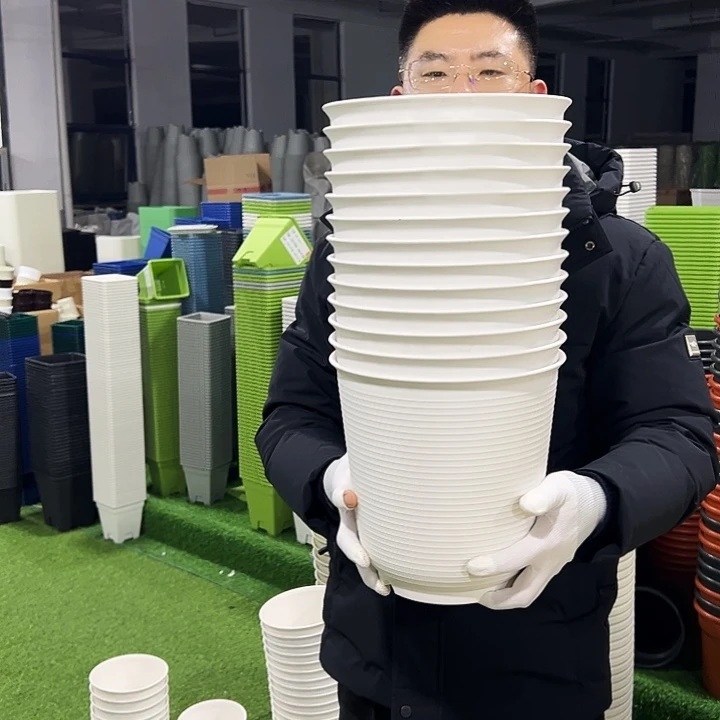 正品高陶口24高24白色5只无托