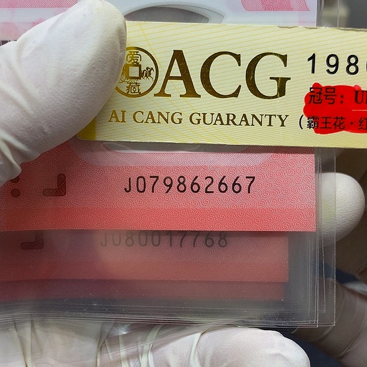 一张一张一张一张一张一张一张一张