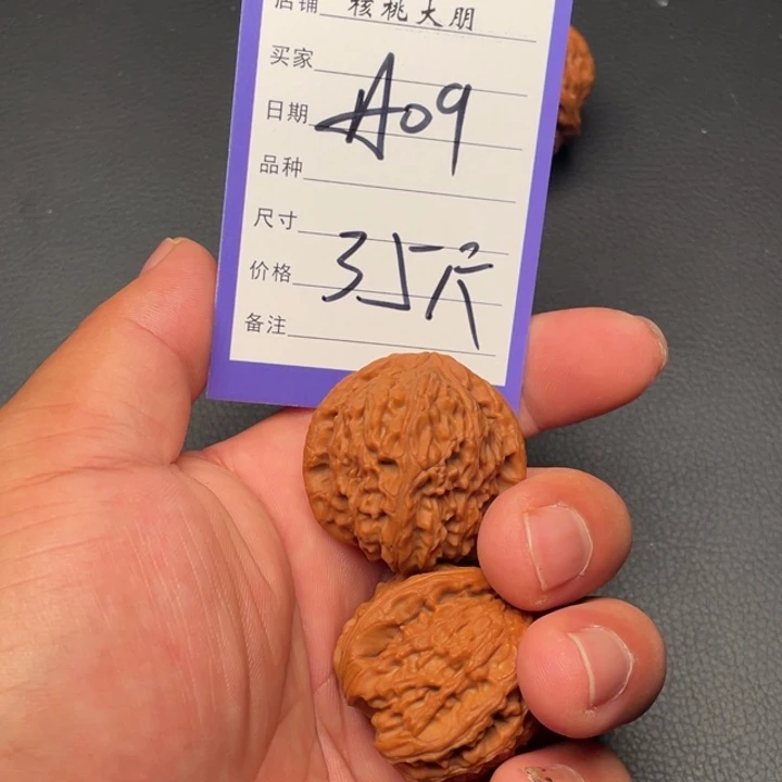 核桃白狮子35尺寸  A09