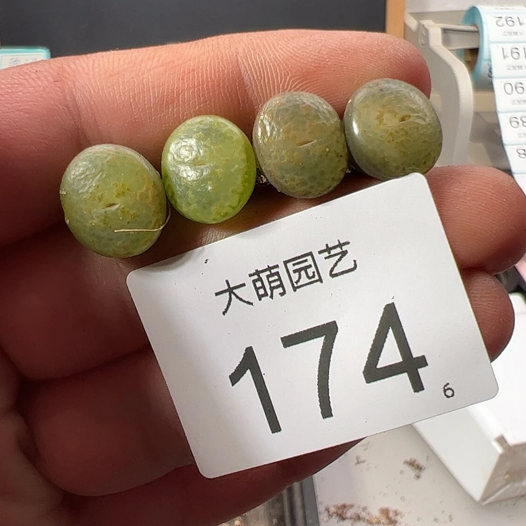 0000174量拍以下1颗