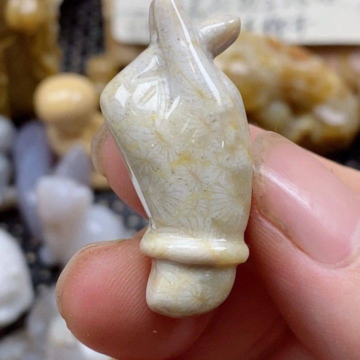 颈饰未镶嵌硅化珊瑚（珊瑚玉）小