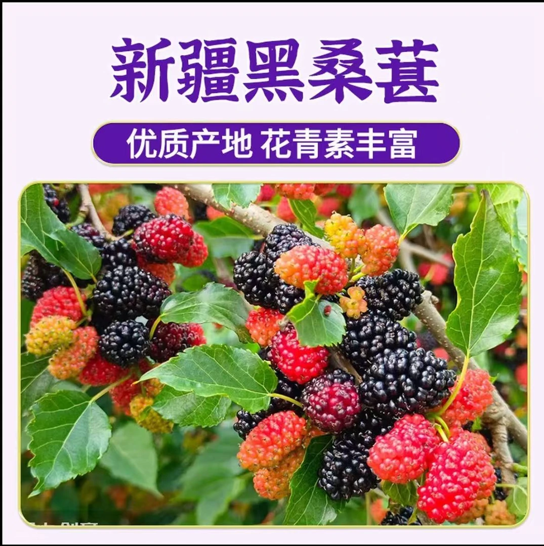 H【新货到手2斤】新疆桑葚干生吃泡水泡茶微甜休闲零食