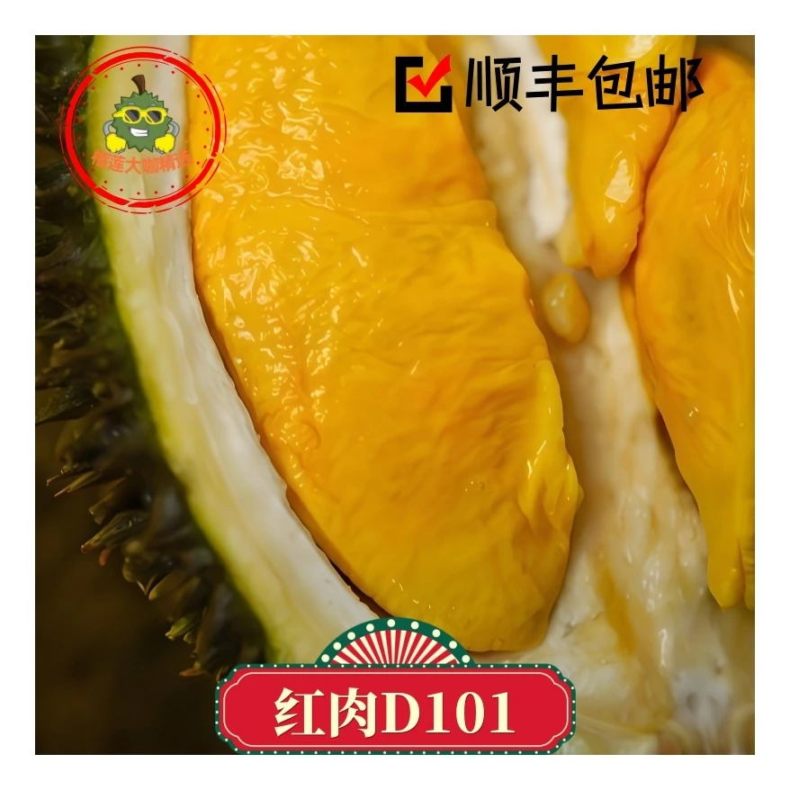 新货红肉D101半箱10斤马来西亚液氮冷冻榴莲