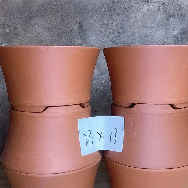 紫砂花盆我在外面