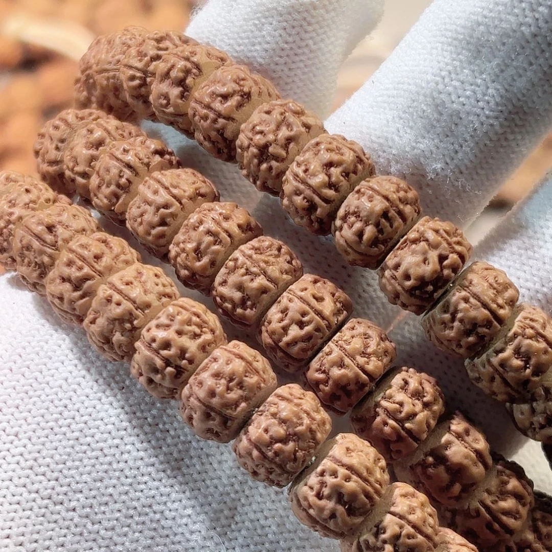 看***生印度尼西亚小金刚闷墩龙直切长串