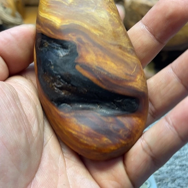 柏木（崖柏）崖柏67