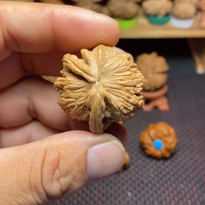郭***店文玩核桃把件文玩