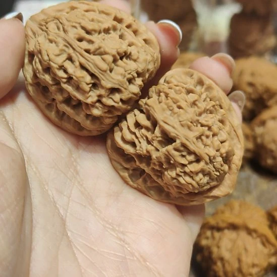 文玩核桃把件古树南将石