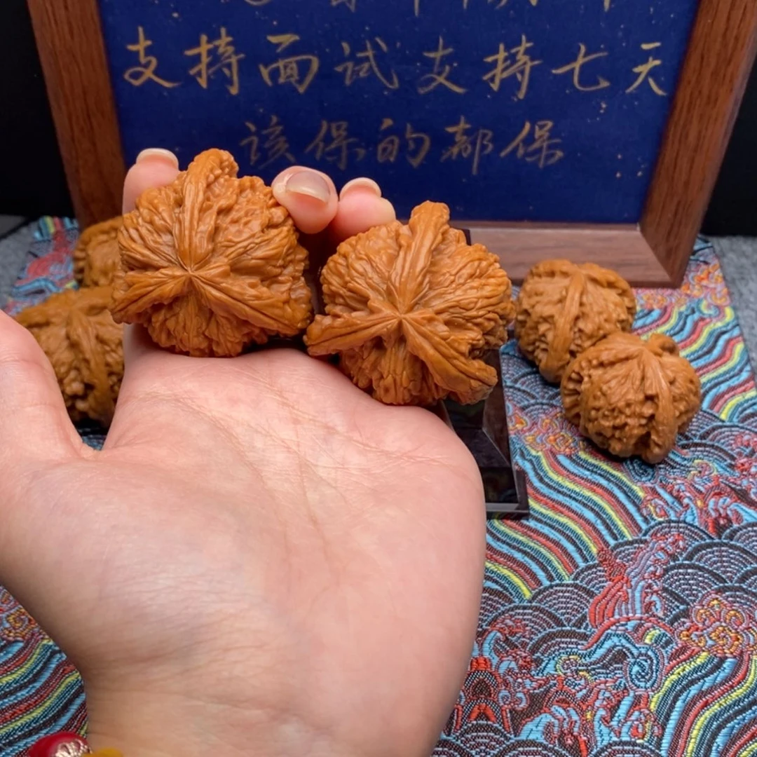 【闪购商品】白狮子及工具