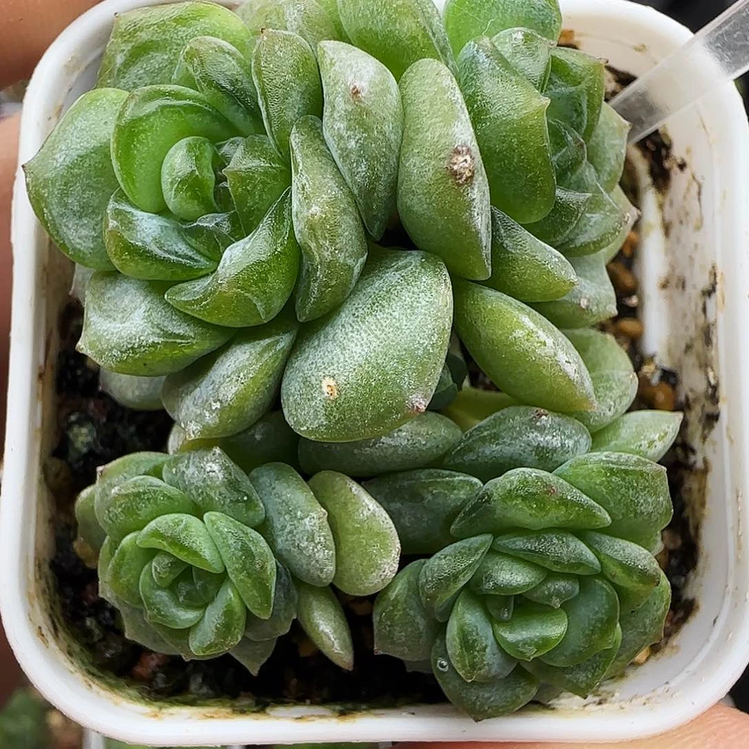 218号哈哈哈哈哈哈