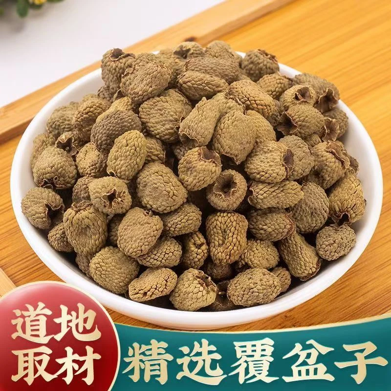 浙江临安覆盆子高山采摘饱满自然生长当季新货泡水泡酒