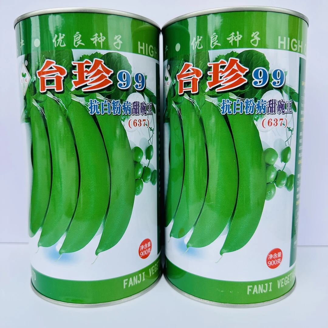 高品质豌豆种子水果甜豌豆种籽 高抗病春秋季甜豌豆种孑大田播种