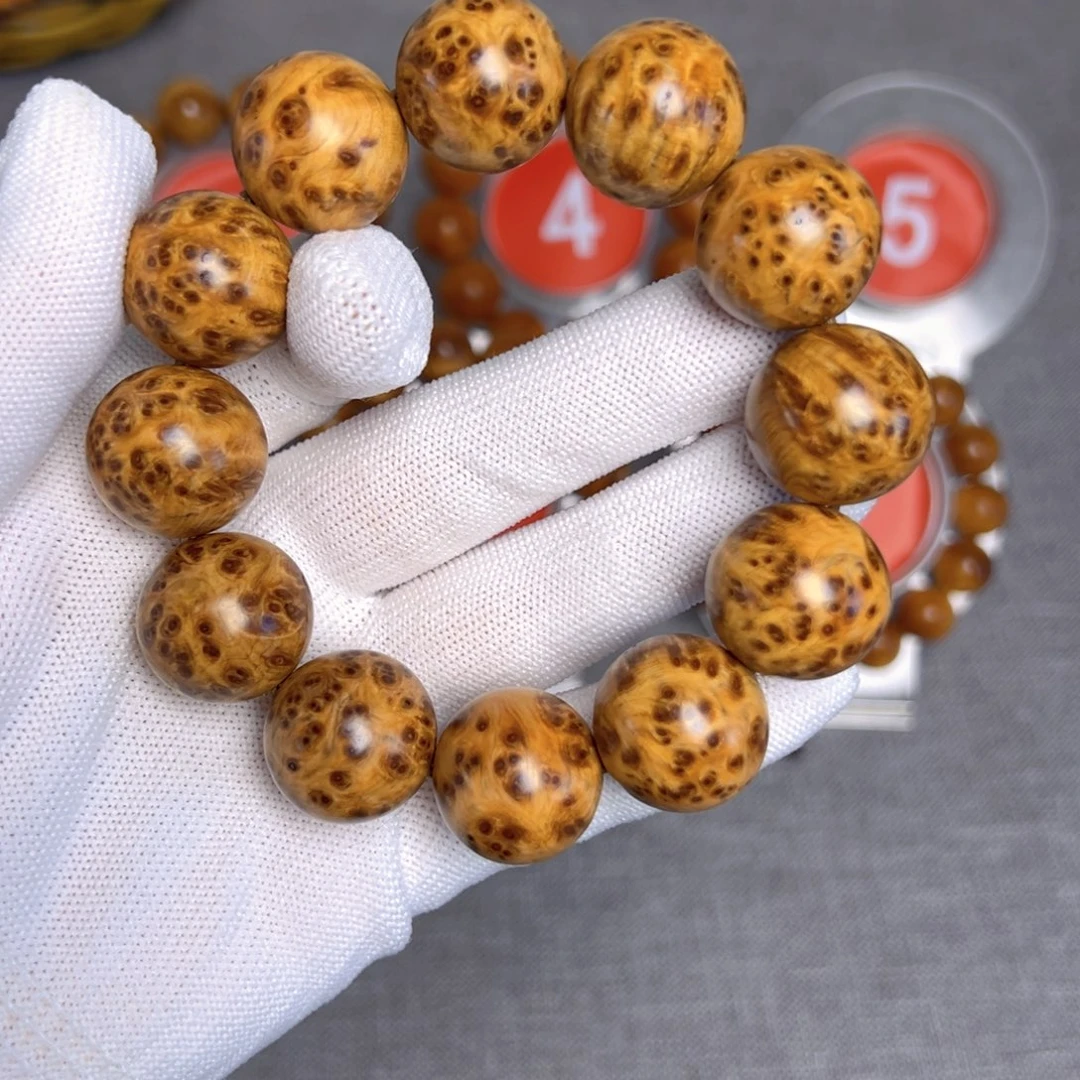 柏木（崖柏）太行崖柏2.0满瘤花